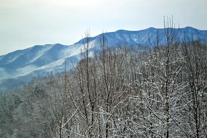 Вілла Mountain High Гатлінбург Екстер'єр фото